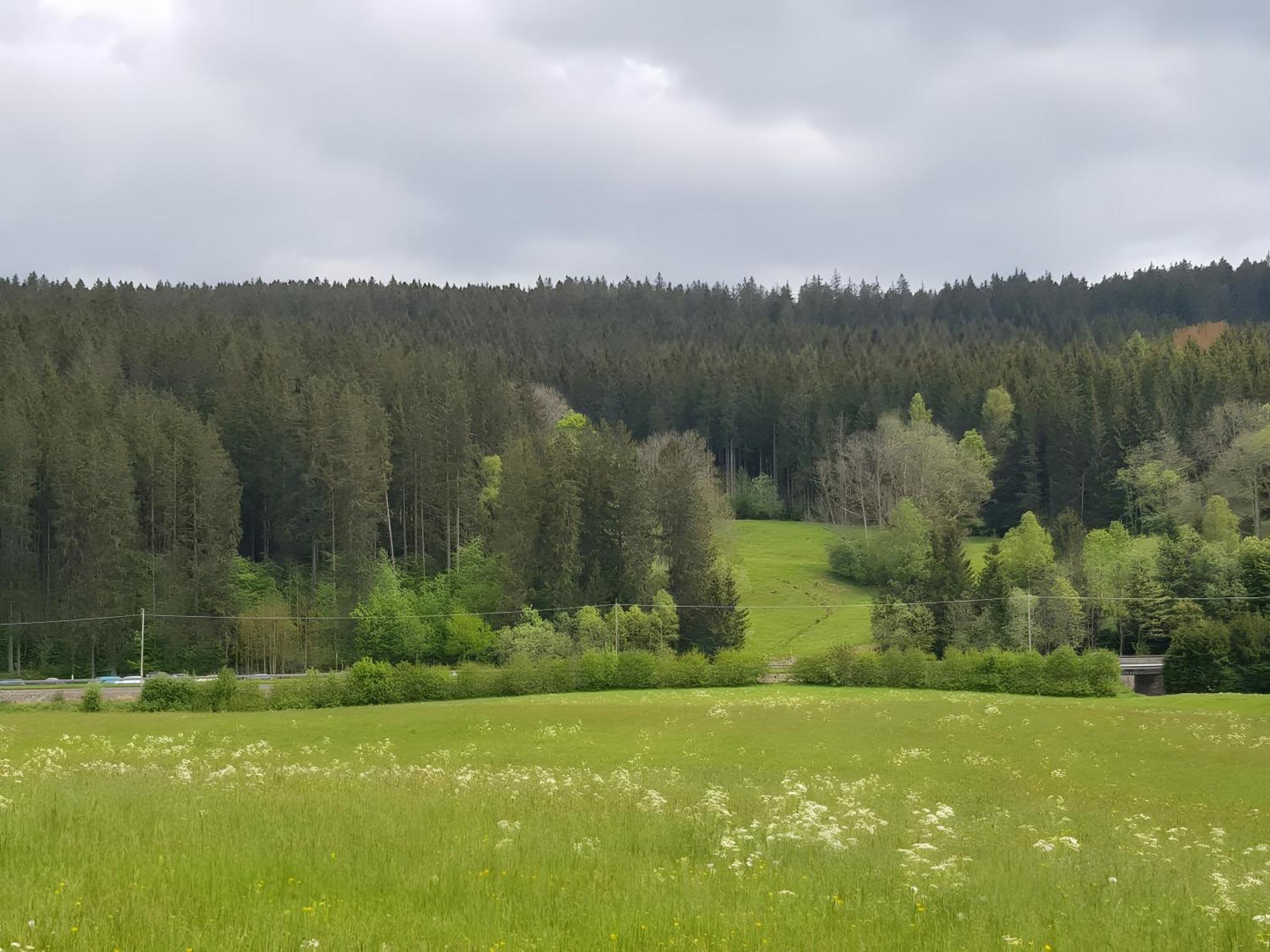 Haus Schwedes Apartment Титизее-Нойщат Екстериор снимка